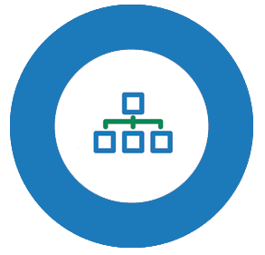 CFO Organization Chart