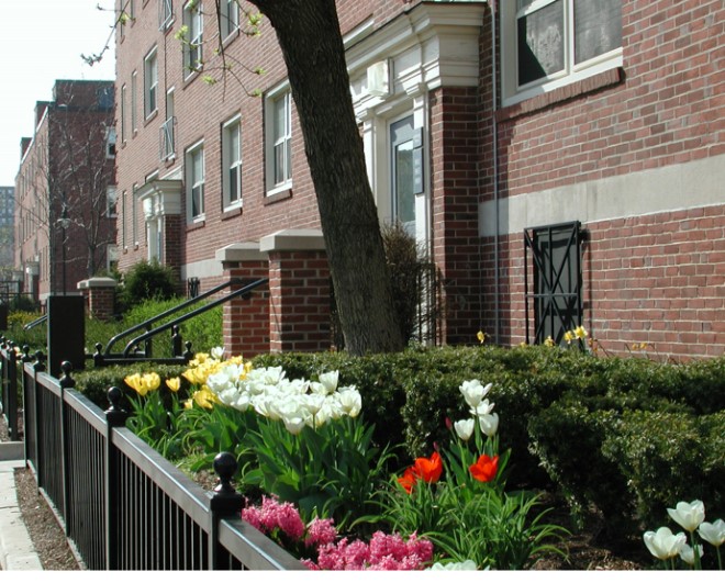 Cambridge MA Curb Appeal