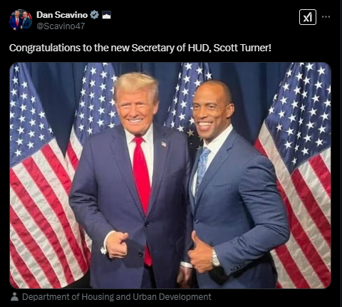 DAN SCAVINO DAN SCAVINO