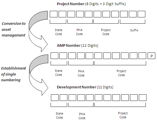 [Gtraphic: Difference betweena Development Number and an AMP number]